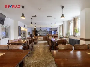 Prodej obchodního prostoru, Čelákovice, Rumunská, 794 m2