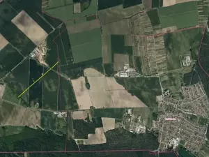 Prodej pole, Dubňany, 7012 m2