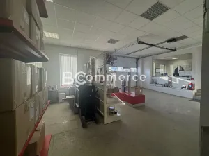Pronájem skladu, Brno, Dornych, 226 m2
