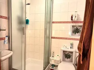 Prodej bytu 1+1, Dobříš, Březová, 31 m2