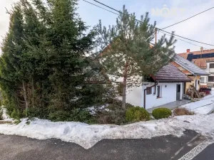 Prodej komerční nemovitosti, Podmokly, 60 m2