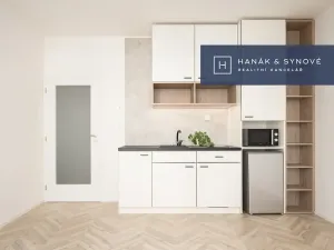 Pronájem bytu 1+kk, Brno, Cejl, 32 m2