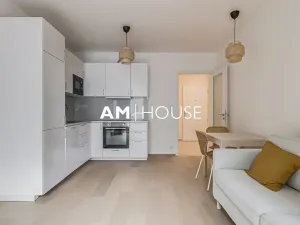 Pronájem bytu 2+kk, Praha - Karlín, Křižíkova, 49 m2