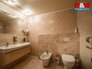 Pronájem bytu 4+kk, Plzeň - Vnitřní Město, Zbrojnická, 102 m2