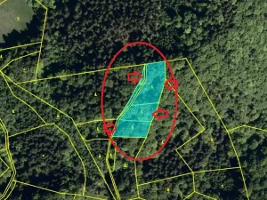 Prodej podílu lesa, Halenkov, 1840 m2