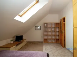 Pronájem atypického bytu, Mratín, Boční, 109 m2