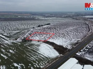 Prodej pole, Přišimasy, 7366 m2