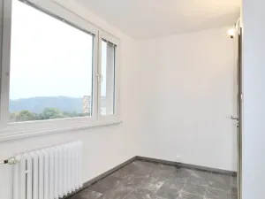 Pronájem bytu 2+1, Ústí nad Labem - Ústí nad Labem-centrum, SNP, 62 m2