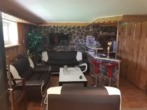 Prodej rodinného domu, Horní Bludovice, 330 m2