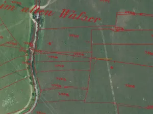 Prodej pole, Bělá nad Radbuzou, 174301 m2