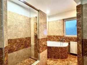 Pronájem rodinného domu, Chomutov, Dobrovského, 80 m2