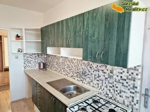 Pronájem bytu 3+1, Ostrava, 76 m2