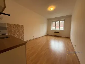 Pronájem bytu 1+kk, Praha - Nusle, V Horkách, 35 m2