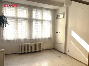 Pronájem ordinace, Praha - Bubeneč, Dejvická, 41 m2