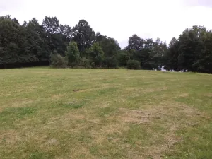 Dražba louky, Vlčice, 1566 m2