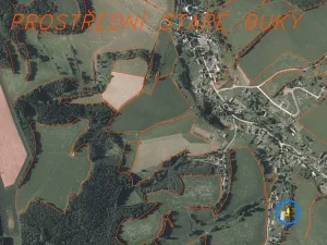 Dražba louky, Staré Buky, 109 m2