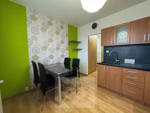 Pronájem bytu 1+1, Brno, Teyschlova, 41 m2