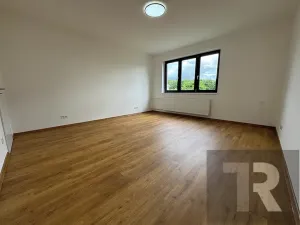 Pronájem bytu 3+1, Líté, 81 m2