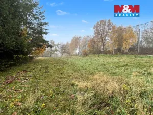 Prodej zahrady, Stružnice - Bořetín, 725 m2