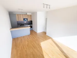 Prodej bytu 3+kk, Praha - Žižkov, U Viktorie, 70 m2