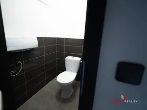 Prodej komerční, Skalice, 117 m2