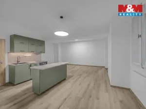 Prodej bytu 1+kk, Praha - Staré Město, Dlouhá, 46 m2