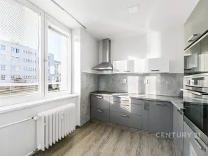 Pronájem bytu 2+1, Plzeň, Krejčíkova, 50 m2