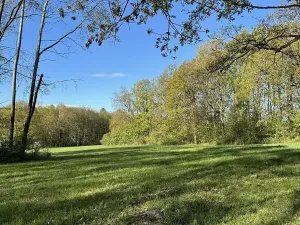 Prodej pozemku, Čížkov, 22012 m2