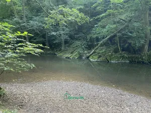 Prodej chaty, Skryje, 41 m2