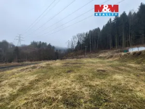 Prodej pozemku, Sokolov - Vítkov, 260 m2