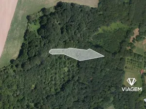 Prodej podílu lesa, Lhota, 275 m2
