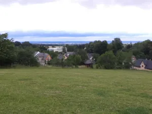 Prodej pozemku, Vlčice, 1566 m2