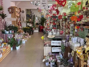 Prodej rodinného domu, Broumov, Mírové náměstí, 916 m2