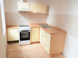 Pronájem bytu 1+kk, České Budějovice, Tylova, 39 m2