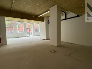 Prodej obchodního prostoru, Brno, Trnitá, 178 m2