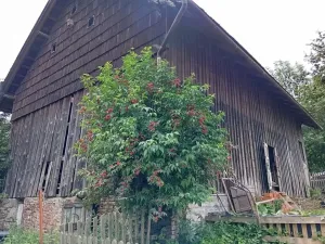 Prodej rodinného domu, Červená Voda, 125 m2