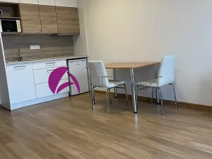 Pronájem bytu 1+kk, Olomouc, Edmunda Husserla, 30 m2