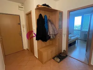 Pronájem bytu 3+1, Olomouc, Polská, 75 m2