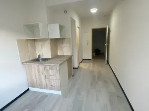 Pronájem bytu 1+kk, Praha - Hlubočepy, Na Zlíchově, 20 m2
