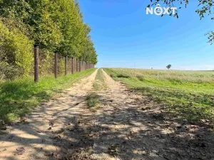 Prodej pozemku pro bydlení, Bařice-Velké Těšany, 962 m2