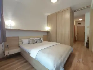 Pronájem bytu 2+kk, Všemina, 41 m2