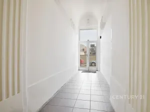 Prodej činžovního domu, Ústí nad Labem, Raisova, 416 m2