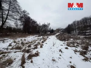 Prodej pozemku pro bydlení, Velemín, 5378 m2