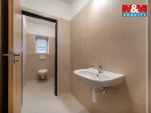 Pronájem skladu, Cerekvice nad Loučnou - Pekla, 794 m2