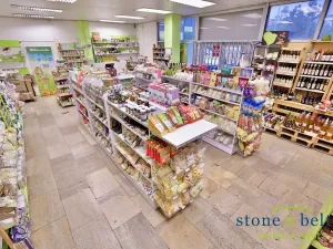 Pronájem obchodního prostoru, Praha - Troja, Lodžská, 254 m2