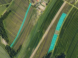 Prodej pole, Maršov, 31902 m2