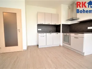 Pronájem bytu 2+kk, Praha - Žižkov, V zahrádkách, 55 m2