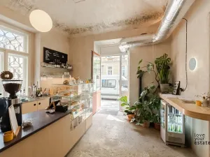 Pronájem bytu 2+kk, Praha - Vinohrady, Lublaňská, 50 m2