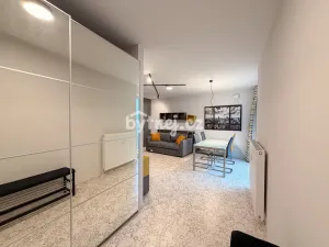 Pronájem bytu 1+kk, Brno - Trnitá, Křenová, 2641 m2