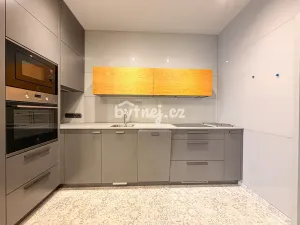 Pronájem bytu 1+kk, Brno - Trnitá, Křenová, 2641 m2